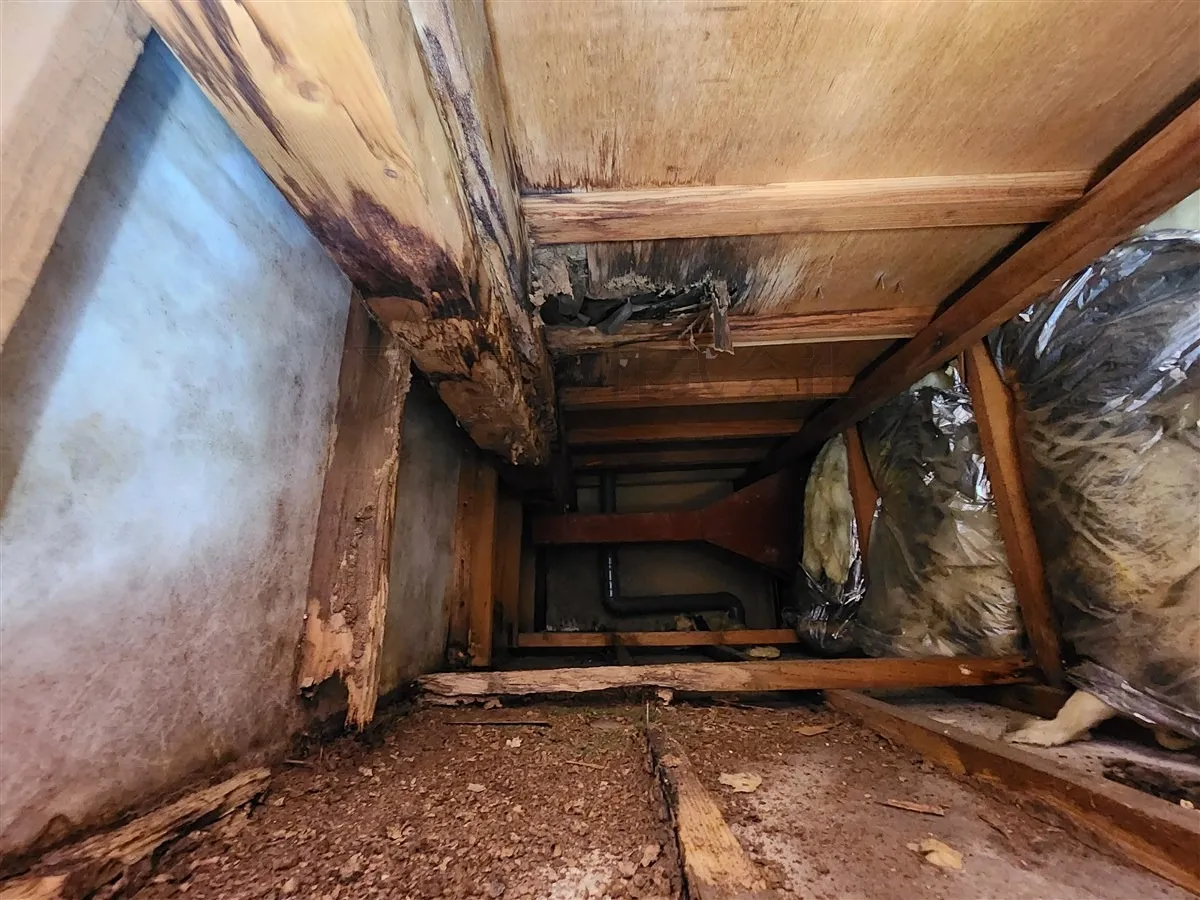 そのまま放置は危険!木製ベランダに起こる“重大トラブル”