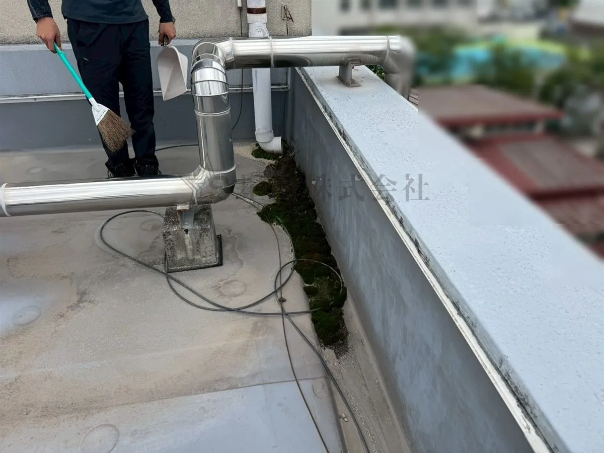 屋上の苔を放置すると雨漏りの原因に?知らないと危険なポイントと対策