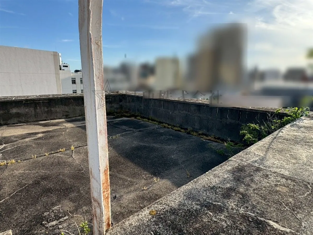 【屋上】屋上の雑草は雨漏りの前兆、コンクリート屋上に草が生える理由と放置の危険性