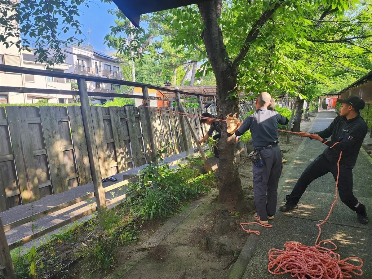 【阿部野神社】境内、境界板の半壊固定を行ってきました!